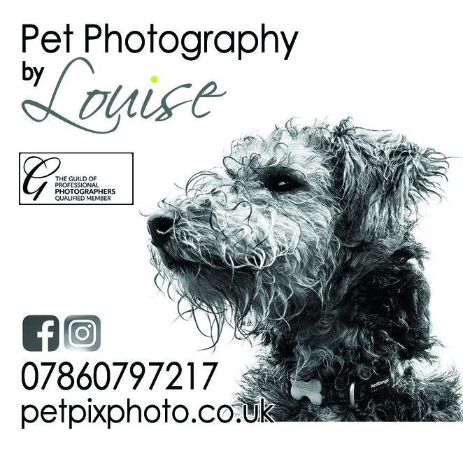 Petpixphoto - Pet photography by Louise